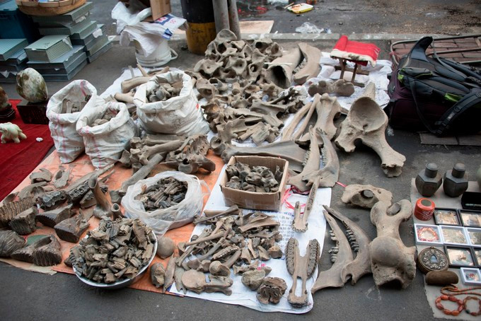 回忆哈尔滨老建筑,哈尔滨老建筑探访