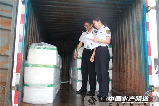 东兴口岸可以进口南美白对虾吗,南美对虾新鲜虾肉出口