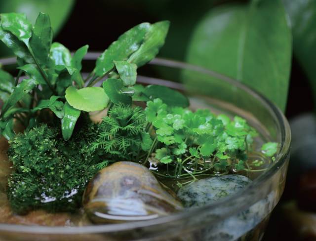 生活小技巧简单桌子做法,做一个懒人必备的桌子