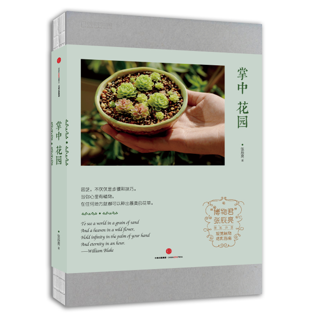 生活小技巧简单桌子做法,做一个懒人必备的桌子