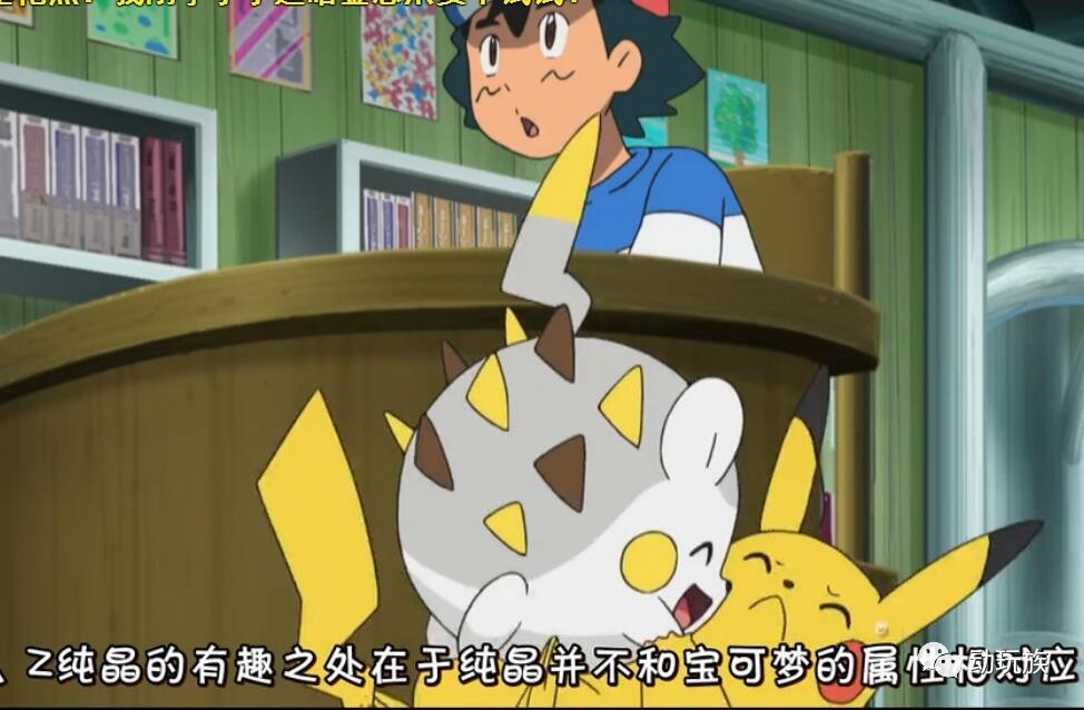 精灵宝可梦日月第79集,精灵宝可梦日月第六集