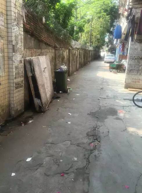 南山区小巷子的红绿灯,南山的小巷子