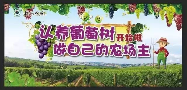 日照有什么好玩的地方,日照索隆