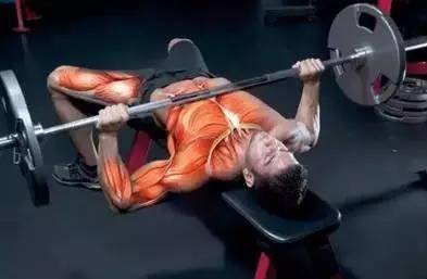 8种锻炼下胸肌的训练方法,为何你的胸肌很发达但是动不了