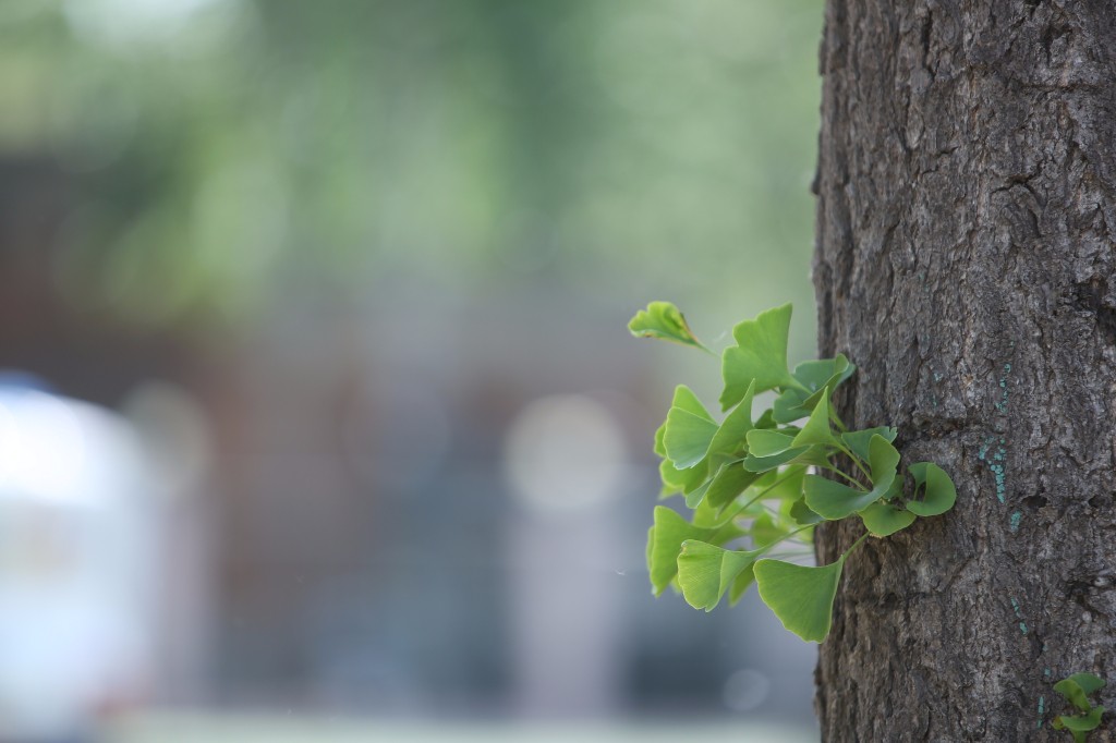 爱我亚太——25周年校庆系列活动之“爱”校