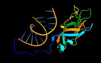 2020第十一届细胞治疗国际研讨会,第八届亚太医学与肿瘤论坛