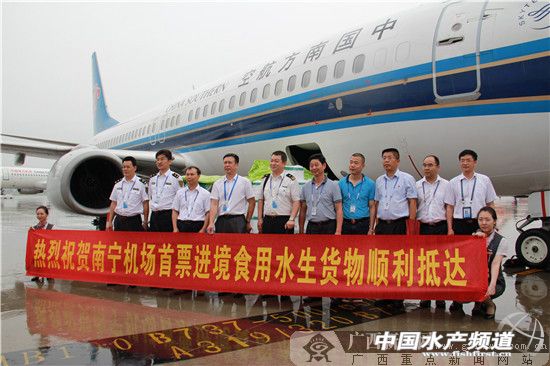 东兴口岸可以进口南美白对虾吗,南美对虾新鲜虾肉出口