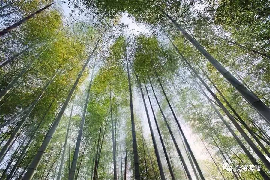 300元以下客房团购,客房超值套餐