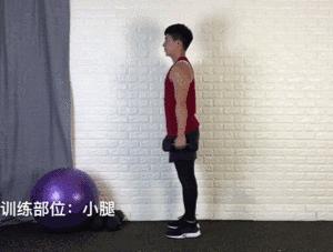 哑铃塑形动作大全,20斤哑铃练手臂的全套动作