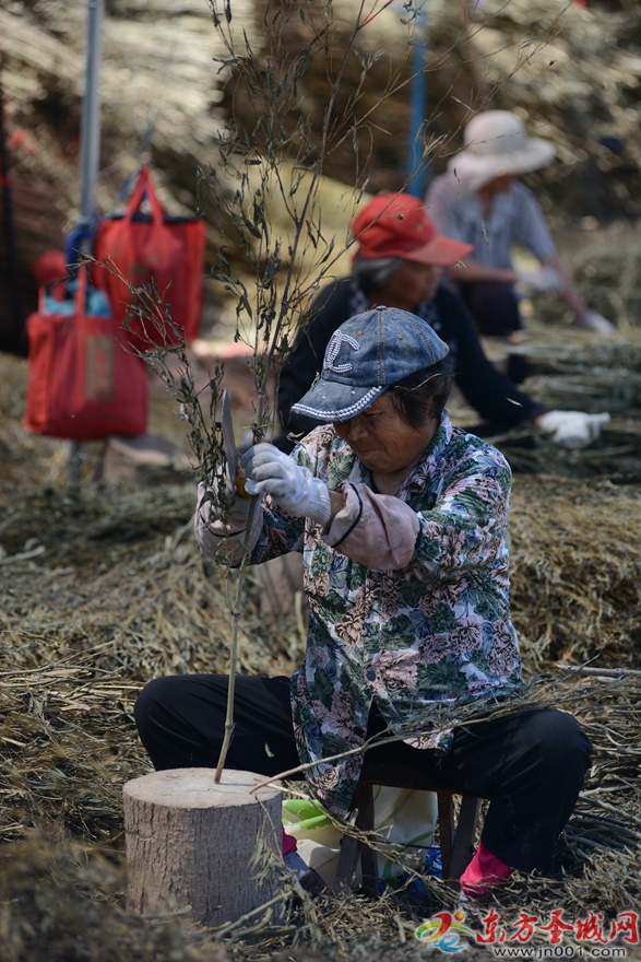 小扫帚勇闯大世界
