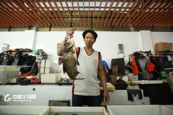 以手为秤的视频,以手为秤