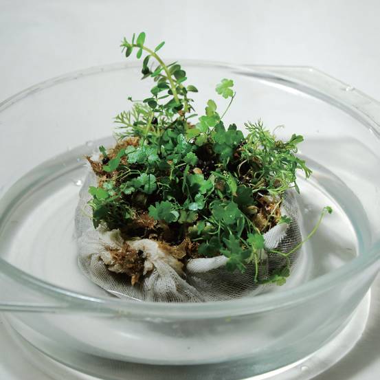 生活小技巧简单桌子做法,做一个懒人必备的桌子