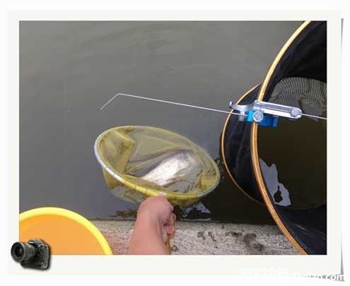 老地方钓鱼不好钓,五一抓鱼捕虾好去处