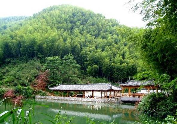 重庆比较高端的带会议室农家乐,重庆哪些好的农家乐可以玩