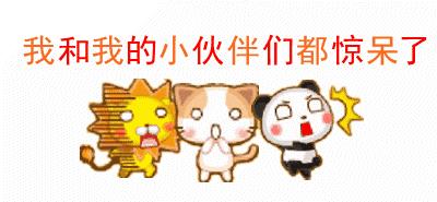 来不及解释赶紧行动,来不及解释了暂停截图