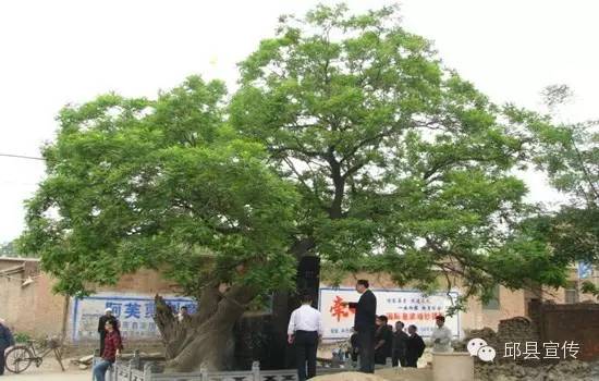 一篇《邱县赋》，说尽了多少邱县事