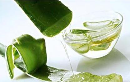 芦荟怎样祛斑?用芦荟真的能祛斑吗?