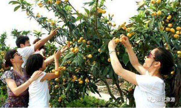 湖北咸宁有什么好去处 (咸宁休闲旅游地)