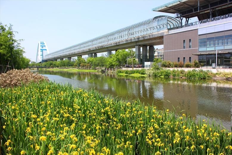 宁波人多的景区,宁波不得不去的几个风景区