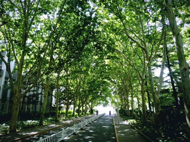 路过的风景抖音,路过的风景古筝版