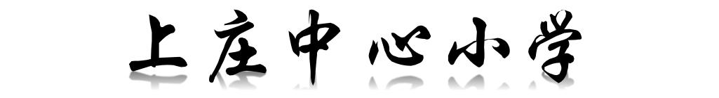 新优质学校展示会,新优质学校风采展示