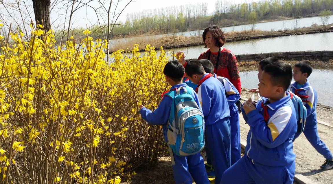 新优质学校展示会,新优质学校风采展示