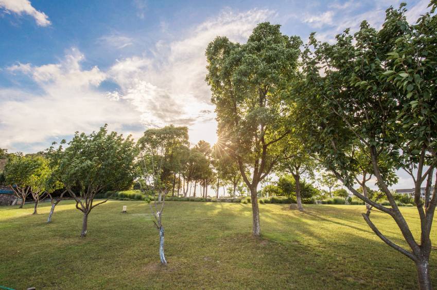 适合周末打卡的旅游胜地,周末旅游打卡圣地