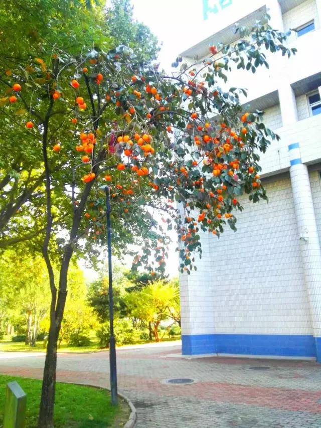 爱我亚太——25周年校庆系列活动之“爱”校