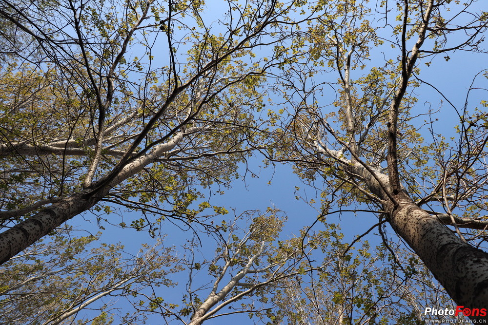 佳能eos77d镜头挑选,小白摄影入门了解佳能77d