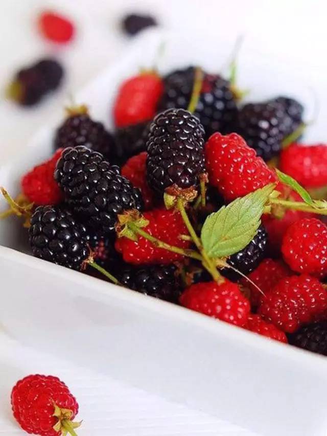 萃臻源药食同源系列桑葚干,桑葚神奇的食材和药材