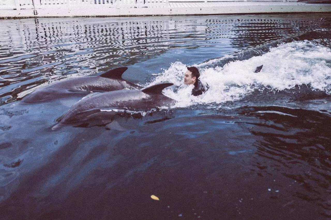 阳光之州是美国哪个州,阳光之州佛罗里达