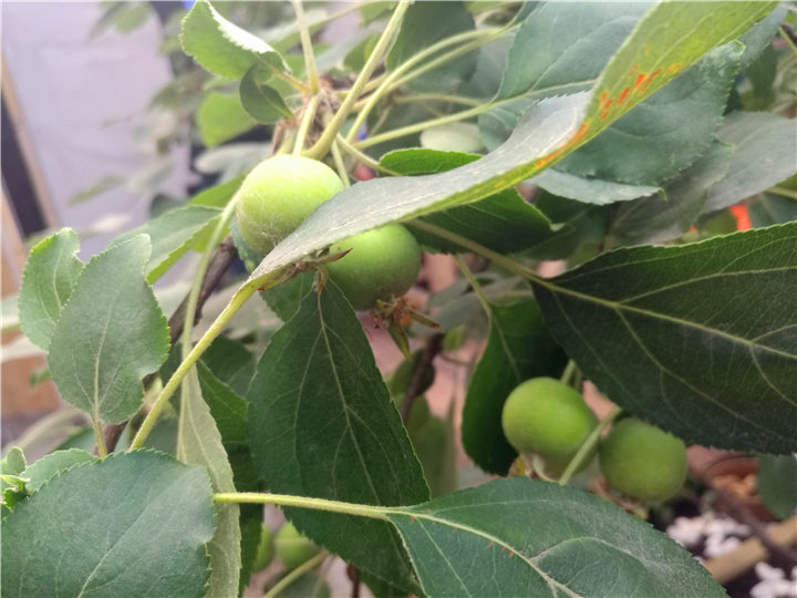 别过粤语女声,别过歌曲完整版