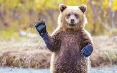 娆ч槼鑻辫鍚姏,娆ч槼鍚姏