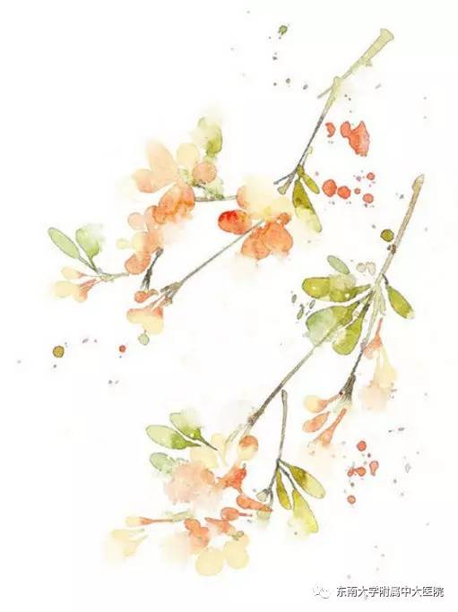 厉害了大中国步子舞,厉害了大中国健身操