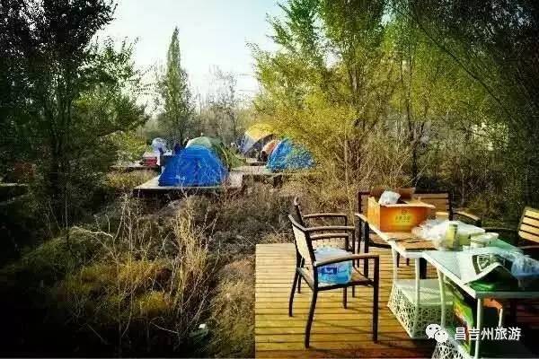 昌吉春天周末游玩,昌吉芸农庄旅游攻略