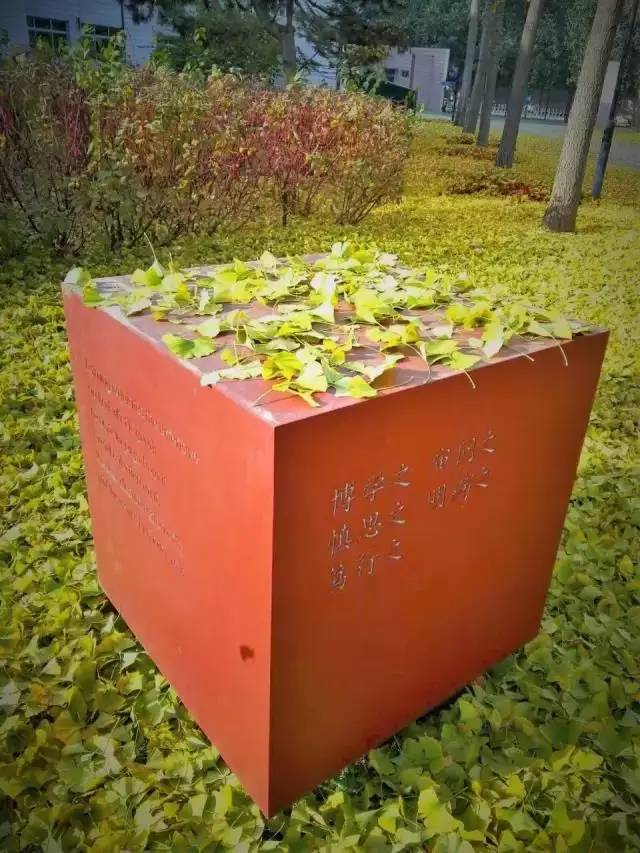 爱我亚太——25周年校庆系列活动之“爱”校