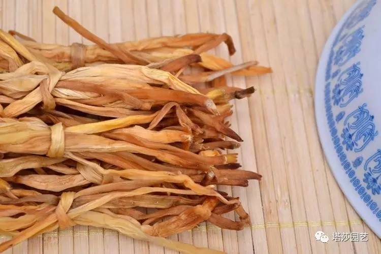 除了康乃馨以外送给妈妈什么花,代表母亲的花是康乃馨