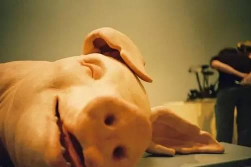 让你越来越丑的习惯,原来有些习惯是改不掉的