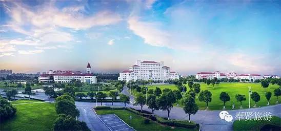 寻找奉贤之美海湾旅游区：上海最绵长的沙滩，31.6公里长的海岸线横亘东西