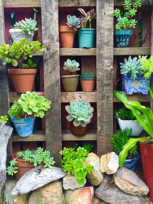 华德福学校适合什么孩子,怎么看待华德福教育模式