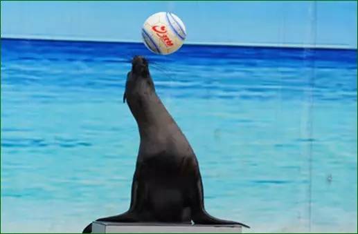 客家文化体验馆,客家五龙风情园