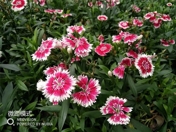 你问我答知识问答100条,你问我答问题100条有趣