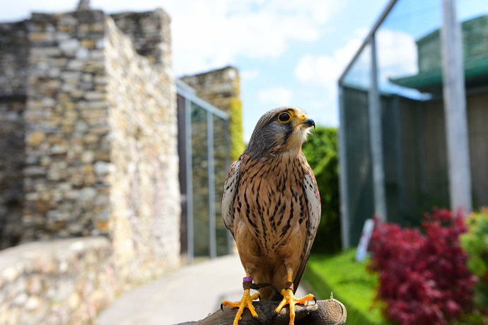 慢行克恩顿，浪回中世纪