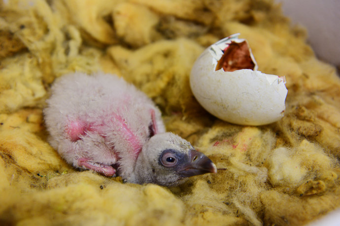 慢行克恩顿，浪回中世纪