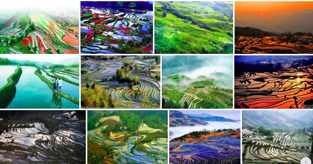 哈尼梯田人与自然和谐,哈尼梯田的生态循环系统