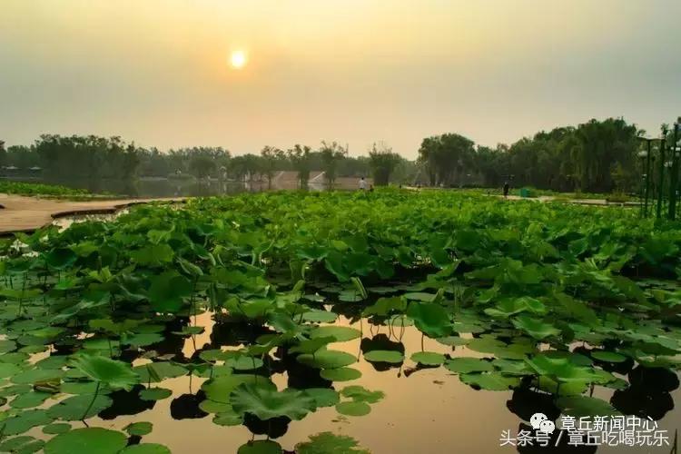 别怀疑,这就是百脉泉!竟如此惊艳,你是否从未见过!