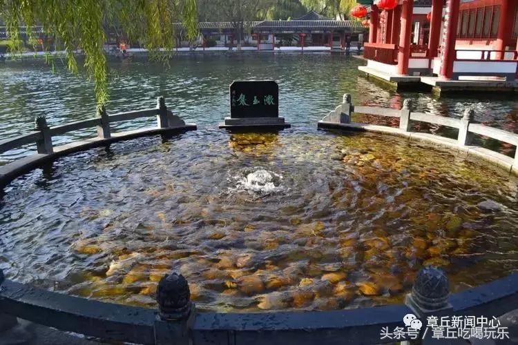 别怀疑,这就是百脉泉!竟如此惊艳,你是否从未见过!