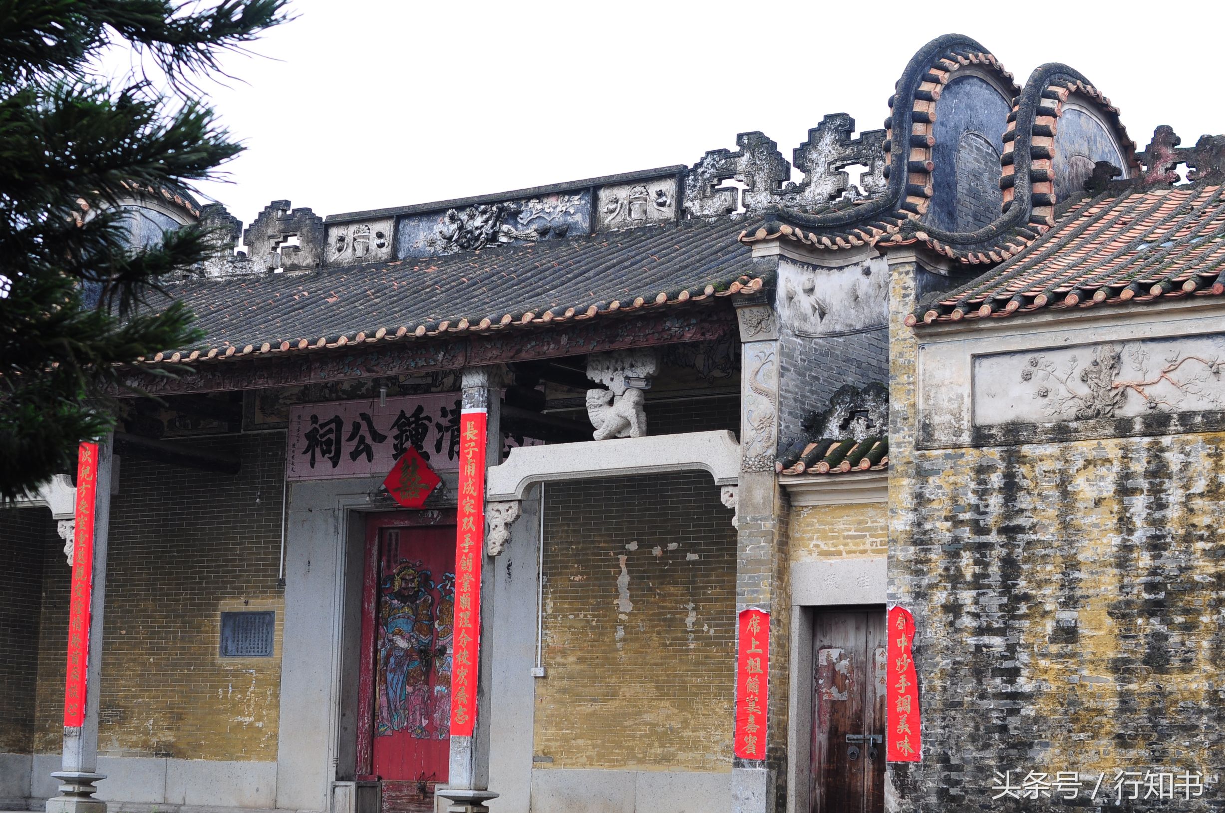 深圳旅游必去十大景点动物园,广州一日游最佳去处动物园