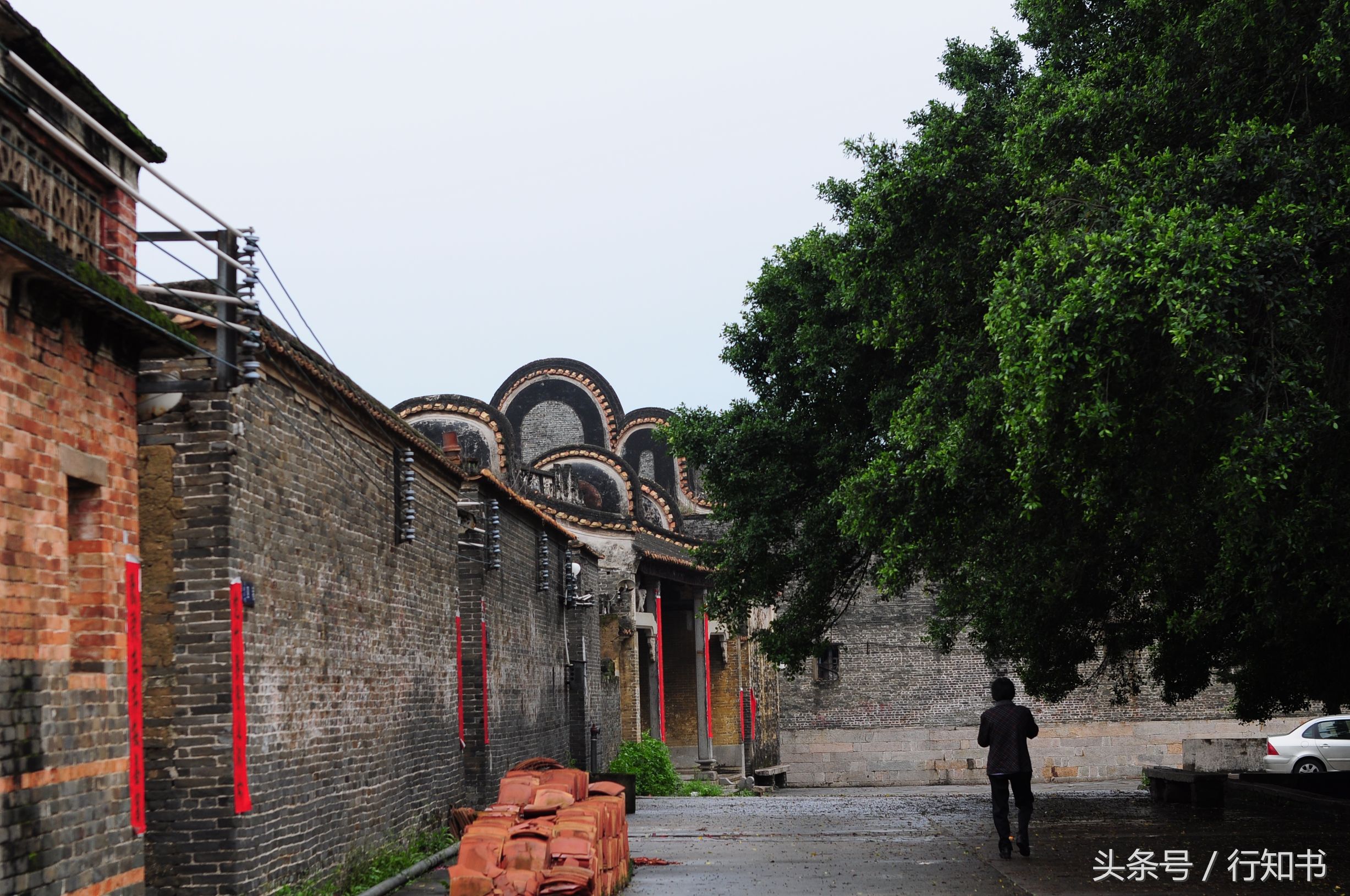 深圳旅游必去十大景点动物园,广州一日游最佳去处动物园
