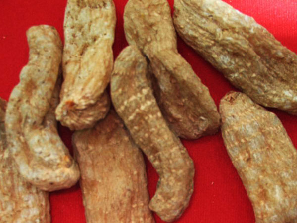 乐山金口河2大地理标志产品:川牛膝吃天麻